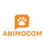 cropped-154bb5f1-c467-4775-bbfe-8ac245b6b459-1-1.png